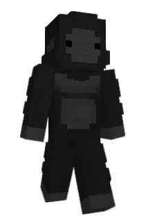 Bami4 Minecraft avatar full body