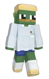 Custom render preview