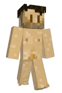 Banhamillo Minecraft avatar full body