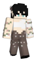 Custom render preview