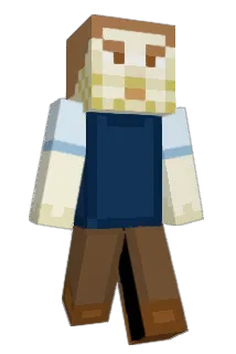 Bankinus Minecraft avatar full body