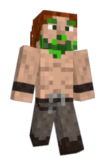 BarbeVerte Minecraft avatar full body