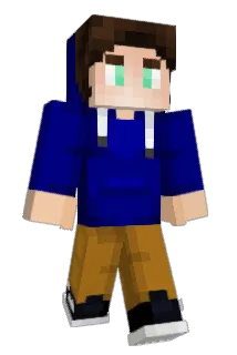 Bardalbee Minecraft avatar full body