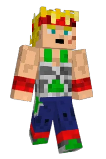 BardockDuBled Minecraft avatar full body