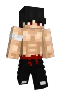 Bariiiiiiii Minecraft avatar full body