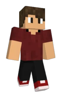 BarniBoy Minecraft avatar full body