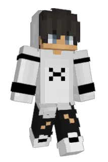 BarniXD Minecraft avatar full body
