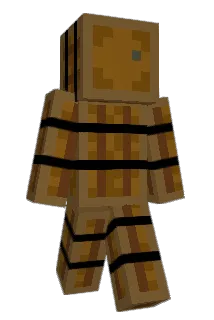 Barrelz Minecraft avatar full body