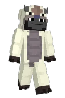 Barrieren Minecraft avatar full body