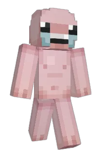 Bartekol1 Minecraft avatar full body