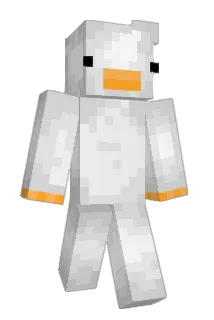 Bartix7077 Minecraft avatar full body