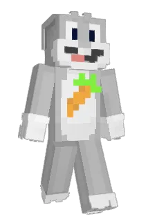 Bartusss___ Minecraft avatar full body