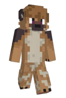 BasicFoox Minecraft avatar full body