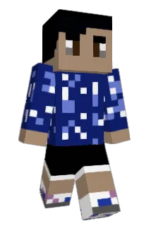 BasicGamer14 Minecraft avatar full body