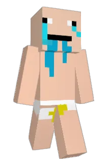 Baskful Minecraft avatar full body