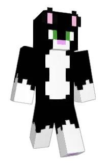 Baslor Minecraft avatar full body