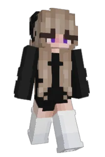Basse1523 Minecraft avatar full body