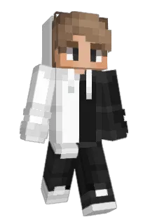 Basse2007 Minecraft avatar full body
