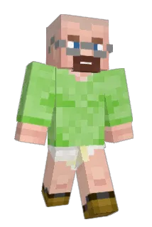 Basssa Minecraft avatar full body