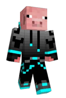 Batdude2 Minecraft avatar full body