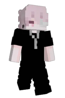 Batixavi Minecraft avatar full body
