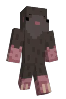BattleBoy2555 Minecraft avatar full body