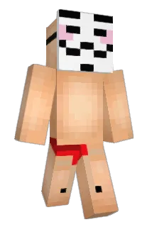 BattleFIN Minecraft avatar full body