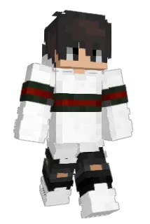 Bau123 Minecraft avatar full body