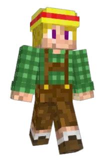 Bauer_Tom_ Minecraft avatar full body