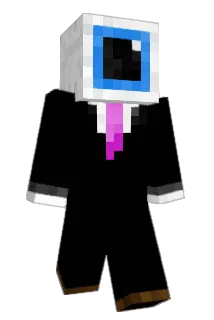 BaumwurzeL9 Minecraft avatar full body