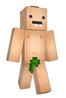 BausQ_ Minecraft avatar full body
