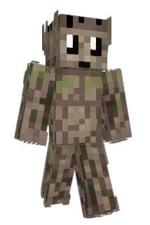 Bawzy Minecraft avatar full body