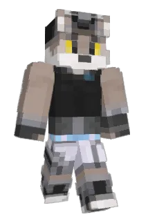 Bax1r Minecraft avatar full body