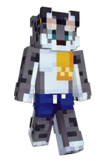 Baxtervv Minecraft avatar full body