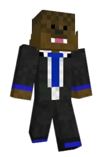 BayHay16 Minecraft avatar full body
