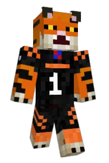 Bbxhoes Minecraft avatar full body