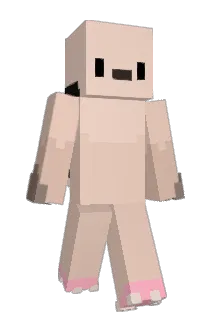 Be2Gi Minecraft avatar full body