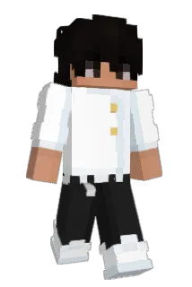 BeanPc Minecraft avatar full body