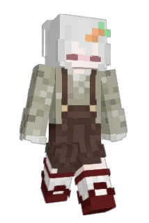 Minecraft-Avatar von Beans2389: ganzer Körper