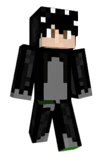 Beansrfresh Minecraft avatar full body
