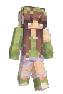 Beanu2003 Minecraft avatar full body