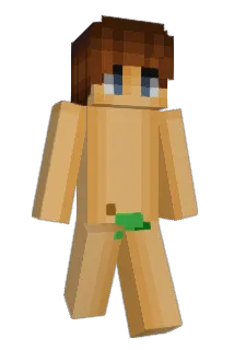 BearCompute Minecraft avatar full body