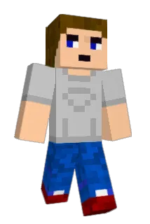 Bearnais Minecraft avatar full body