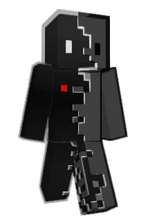 Bebecool8 Minecraft avatar full body