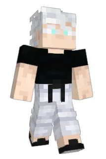 Bebop422 Minecraft avatar full body
