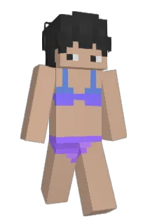 Bedeutendlich Minecraft avatar full body