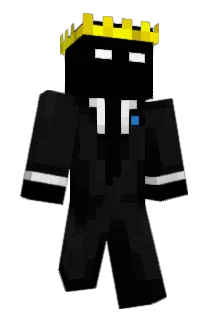 Bedman008 Minecraft avatar full body