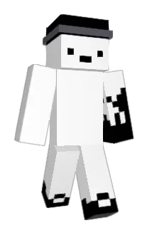 Bee18K Minecraft avatar full body