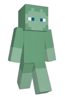 Bee642 Minecraft avatar full body
