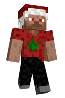 BeeF_03 Minecraft avatar full body